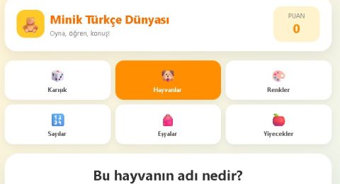 Miniklerin Türkçe Dünyası ile Çocuklar Oynayarak Türkçe Öğreniyor