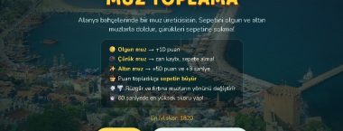 Alanya Muz Toplama Oyunu
