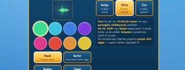 Kuş Sürüsü Oyunu