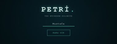 Tek Hücreden Koloniye